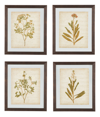 Dyani Wall Art (set of 4)
